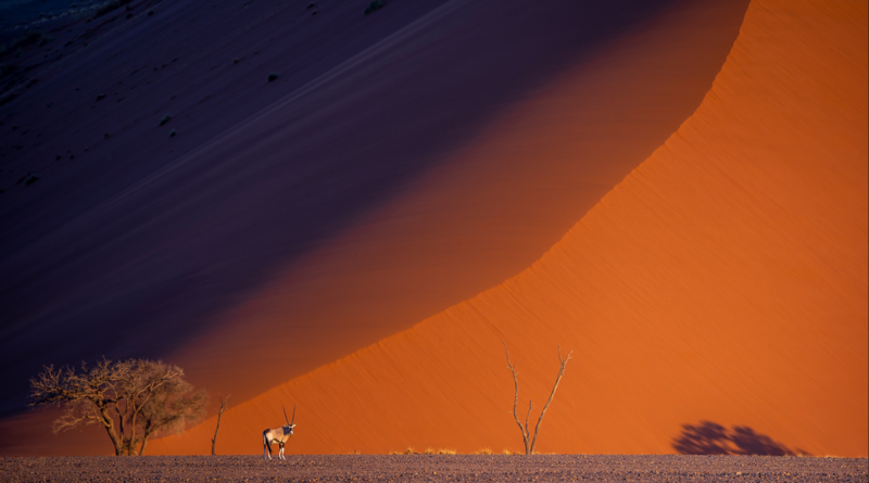 namibie.png